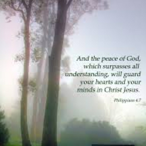 ♡ - Picture 3 of 13